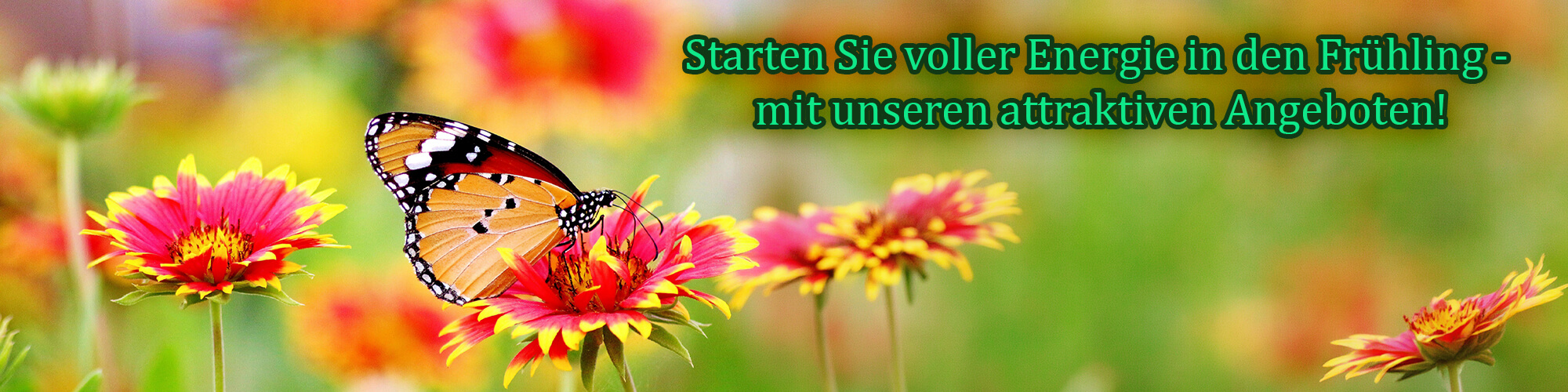 Frühling