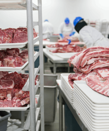 Produktionsbereich von Fleischerzeugnissen im Hygienebereich 